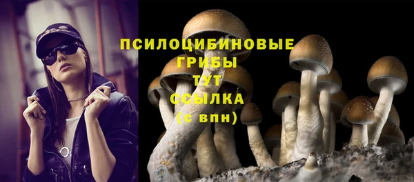 спиды Алексин