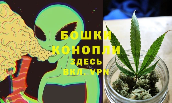 крисы Алзамай