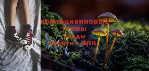 винт Абаза