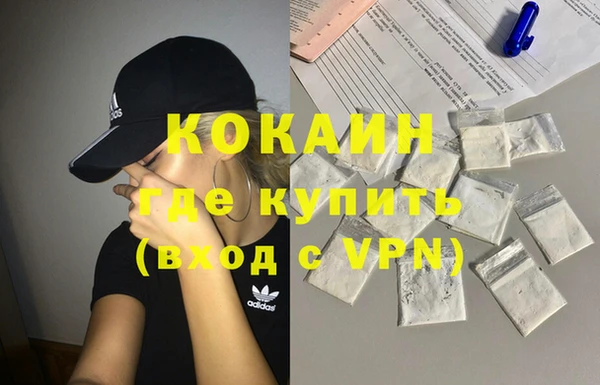 винт Абаза