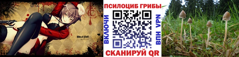 Галлюциногенные грибы MAGIC MUSHROOMS  Псков 