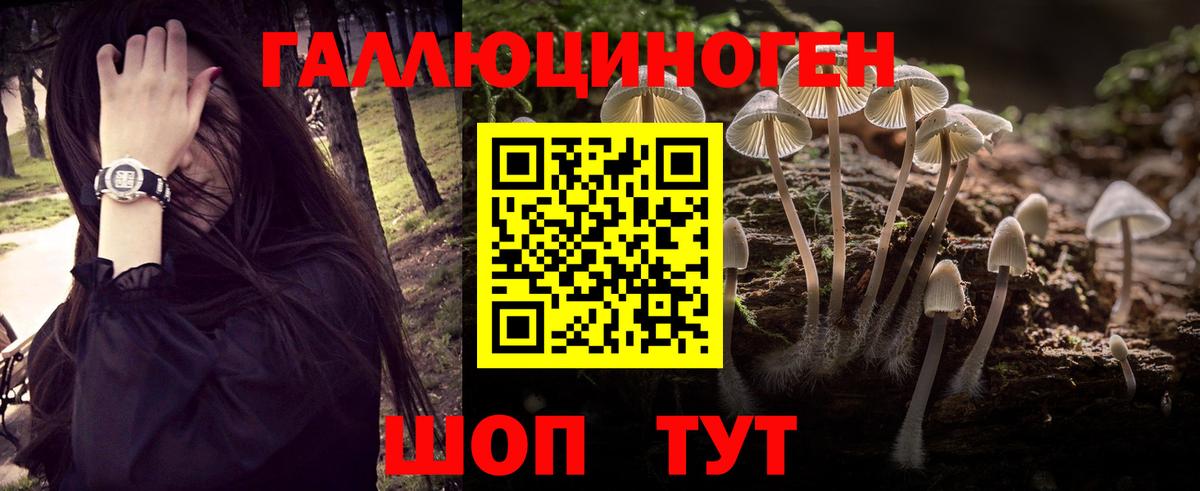 Псилоцибиновые грибы Psilocybe  Вход с VPN  Псков 