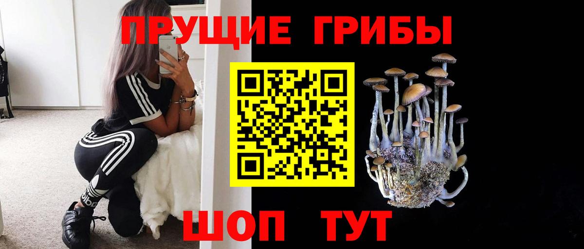 Галлюциногенные грибы Psilocybe Псков